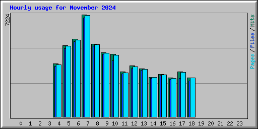 Hourly usage for November 2024