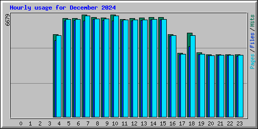 Hourly usage for December 2024