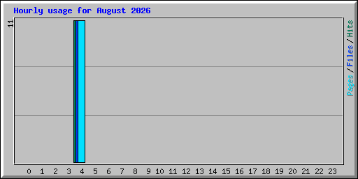 Hourly usage for August 2026